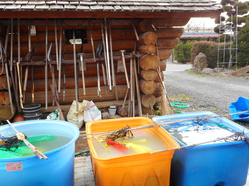 (クリックして拡大表示) うぐいすの初鳴きが聴けました。 種籾の浸漬中です。