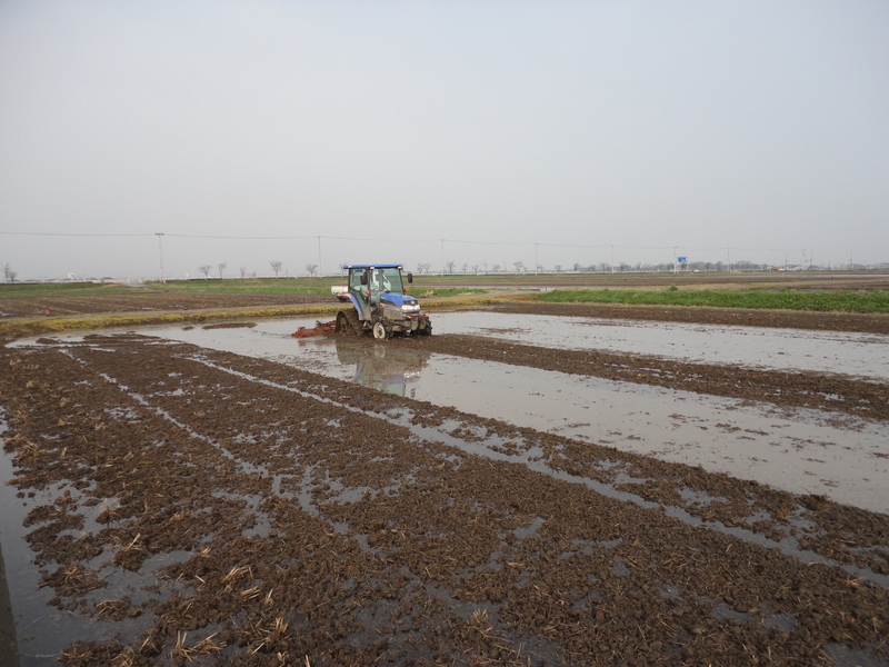 (¥¯¥ê¥Ã¥¯¤·¤Æ³ÈÂçɽ¼¨) ÂåÁߤ»Ï¤á¤ë¡£ Â夫¤