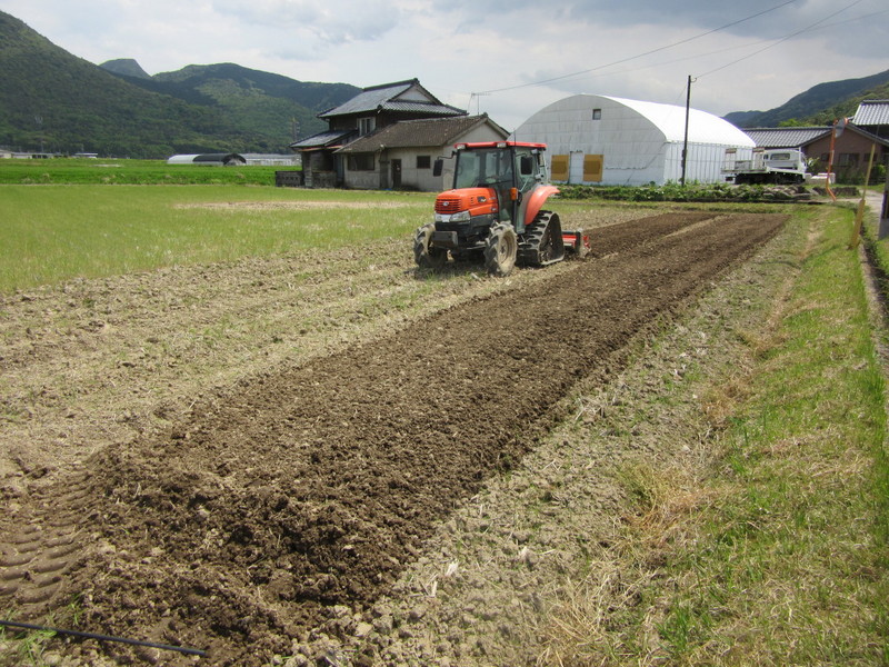 (クリックして拡大表示) みのる式ポット苗床作り。 前後左右をみて進みます。