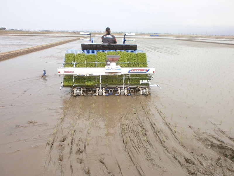 (¥¯¥ê¥Ã¥¯¤·¤Æ³ÈÂçɽ¼¨) ÅÄ¿¢¤¨»Ï¤á¤ë¡£ ÅÄ¿¢¤¨