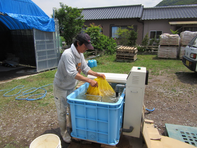 (クリックして拡大表示) 5月も半ば過ぎ何かと忙しくなってきました。 有機は何かと手がかかる。