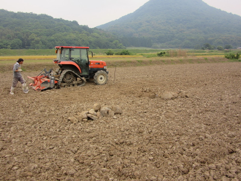 (クリックして拡大表示) 新しい圃場での石取り作業 トラクター壊れそう。