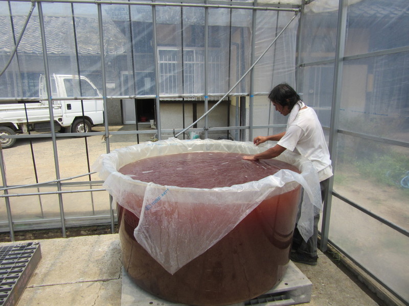 (クリックして拡大表示) 光合成菌の培養 銀のくらには金のかめです。