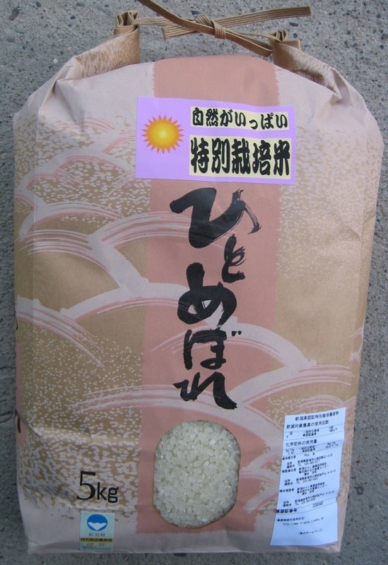 (¥¯¥ê¥Ã¥¯¤·¤Æ³ÈÂçɽ¼¨) *28ǯ»º* ¿·³ã¸©Ç§¾ÚÆÃÊ̺ÏÇÝÊÆ¤Ò¤È¤á¤Ü¤ì¡¡ÈÎÇ佪 ¤Ò¤È¤á¤Ü¤ì´°Çä