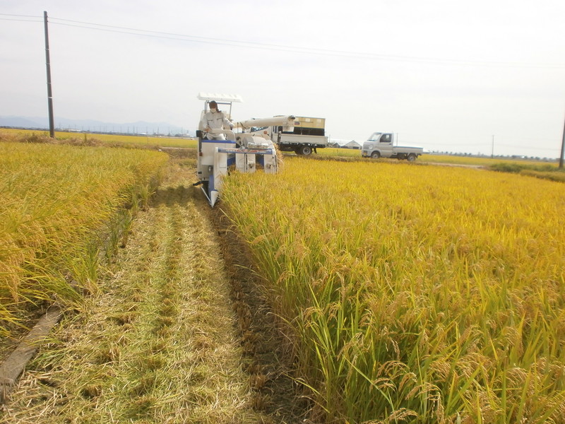 (¥¯¥ê¥Ã¥¯¤·¤Æ³ÈÂçɽ¼¨) °ð´¢¤ê»Ï¤á¤Þ¤·¤¿¡£ °ð´¢¤ê