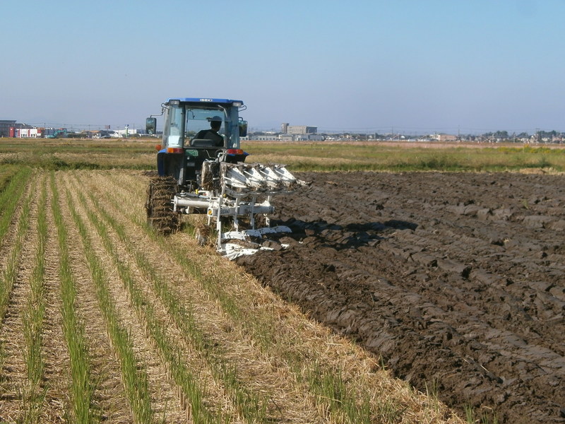 (¥¯¥ê¥Ã¥¯¤·¤Æ³ÈÂçɽ¼¨) Íèǯ¤Î½àÈ÷¤Ç¤¹¡£ ¥×¥é¥¦ºî¶È