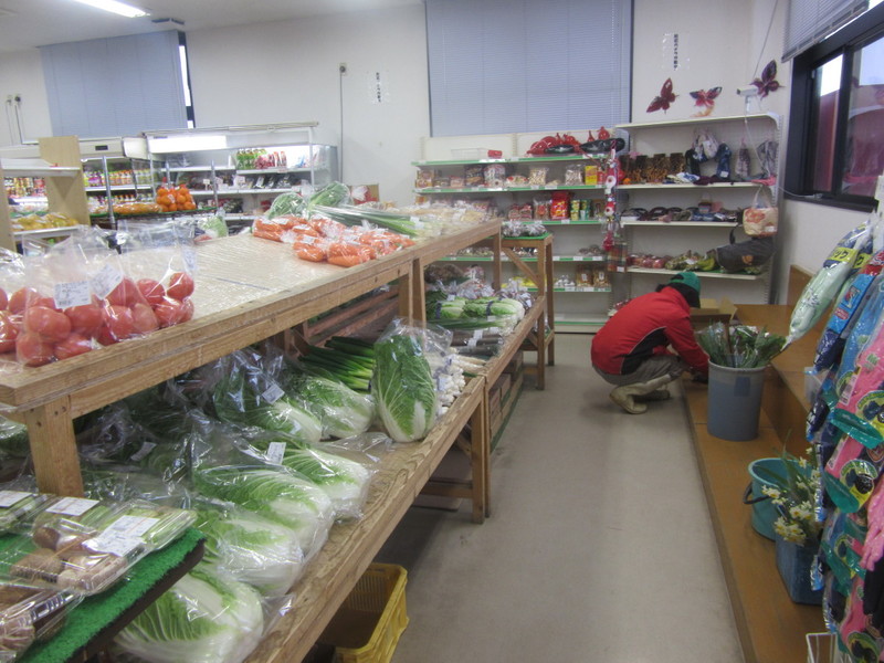 (クリックして拡大表示) サトイモの出荷 売れ残ると疲れ倍増。