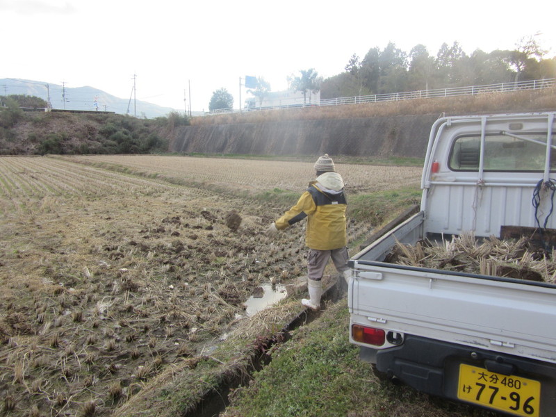 (クリックして拡大表示) 寒風の中の田圃の均平作業。 けっこう重労働。