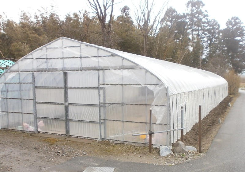 (¥¯¥ê¥Ã¥¯¤·¤Æ³ÈÂçɽ¼¨) °éÉĥϥ¦¥¹¤Î¥Ó¥Ë¡¼¥ëÄ¥¤ê ¥Ï¥¦¥¹¥Ó¥Ë¡¼¥ëÄ¥¤ê