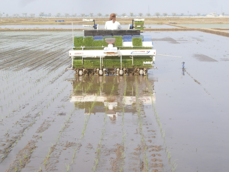 (¥¯¥ê¥Ã¥¯¤·¤Æ³ÈÂçɽ¼¨) ÅÄ¿¢¤¨»Ï¤á¤ë¡£ ÅÄ¿¢¤¨