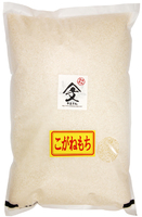 7ǯ 㸩֤ͤ()