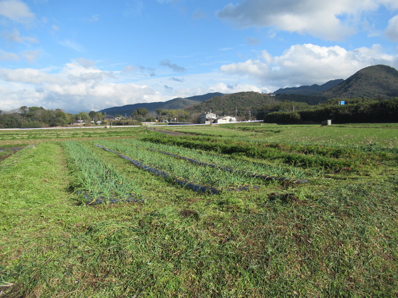 (クリックして拡大表示) 5箇所ある野菜畑の様子です。 これから、夏野菜の苗づくりもはじまります。