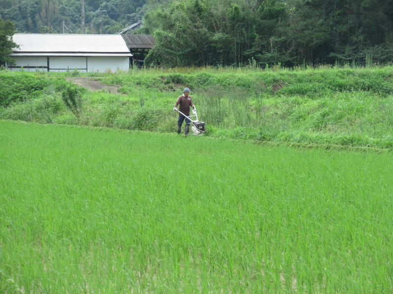 (クリックして拡大表示) 夏場は草刈が大変。 機械があって良かった。