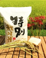 令和5年産　熊本県産特別栽培米　森のくまさん5kg（税込）
