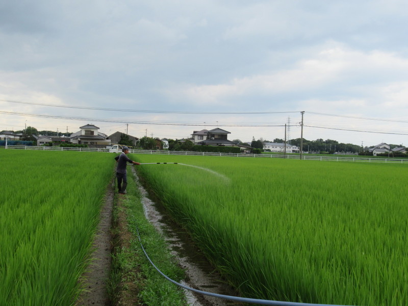 (クリックして拡大表示) 光合成菌の散布 熱中症にならないように。