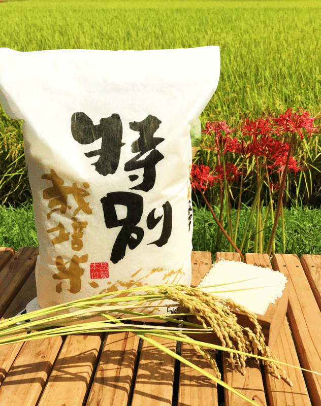 令和5年産 熊本県産特別栽培米 にこまる5kg（税込）(生田米店)