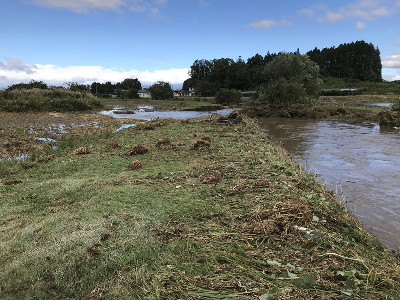 (クリックして拡大表示) 台風19号で堤防決壊  1haのほ場が水没