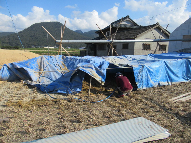 (クリックして拡大表示) やっと稲刈りが終わりました。 撤去作業も大変です。