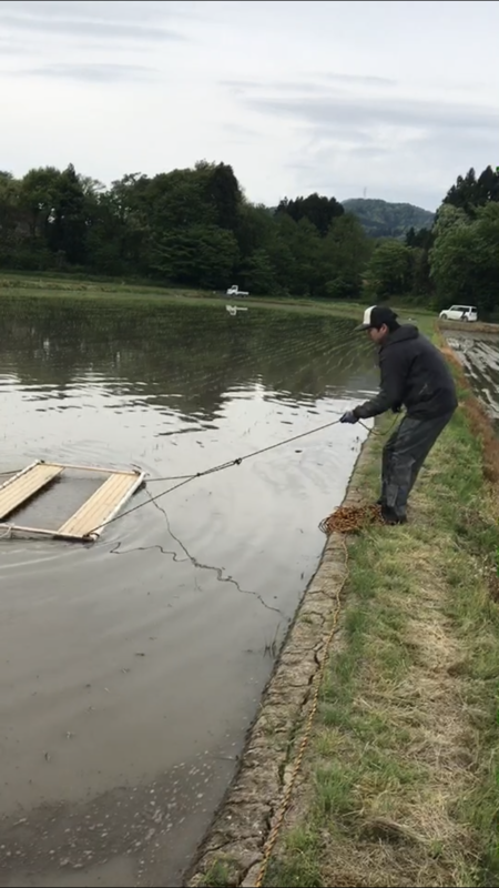 (クリックして拡大表示) 除草作業! 毎朝、農具を引っ張ってます!