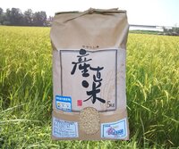 µÜ¾ë¤Î¤³¤À¤ï¤êÊÆ¡Ê¥µ¥µ¥Ë¥·¥¡Ë