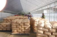 ÇÀÌô¡¢²½³ØÈîÎÁÉÔ»ÈÍѺÏÇÝ ¥µ¥µ¥Ë ¥·¥¾®Î³¤Á¤ã¤ó