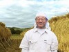 飛騨のハサ干し米