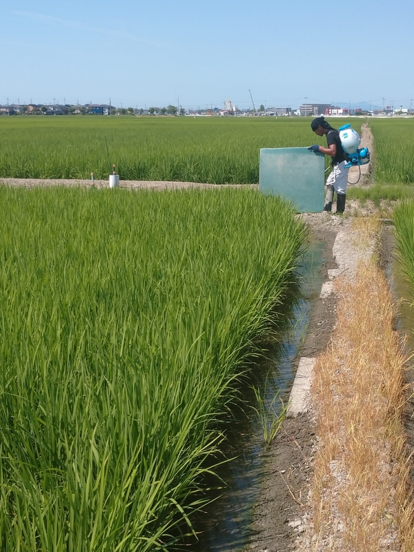 (クリックして拡大表示) 午前の仕事 除草剤散布中