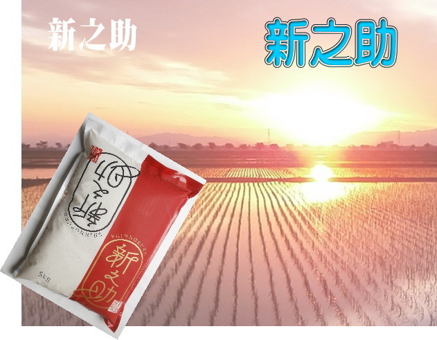 (クリックして拡大表示) 令和3年産 新潟米 『新之助』完売のお知らせ 販売終了しました