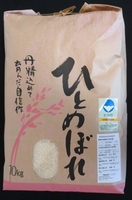 新潟県認証特別栽培米　ひとめぼれ