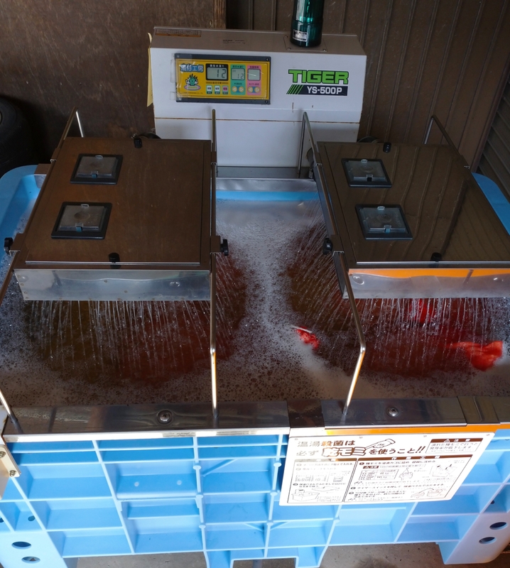 (クリックして拡大表示) 種もみ温湯消毒 温湯消毒