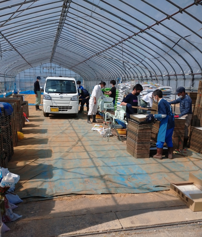 (クリックして拡大表示) 令和4年産の種まき 種まき
