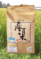 µÜ¾ë¤Î¤³¤À¤ï¤êÊÆ¡Ê¤Ä¤äɱ¡Ë