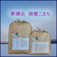 【数量限定】十四代目の挑戦　特別栽培米「淡雪こまち」