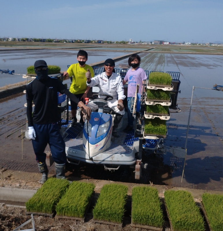 (クリックして拡大表示) 田植え終わりました。 毎年恒例のあれです。