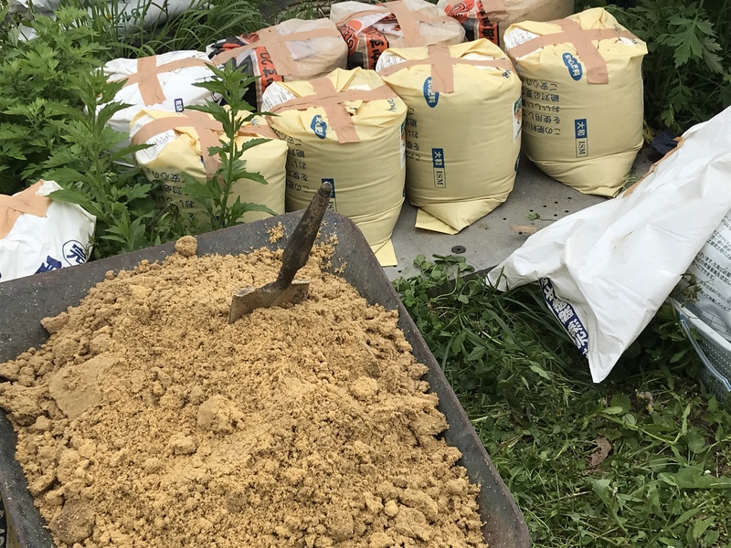 食品長野県産コシヒカリ30ｋｇ玄米（本州送料無料）令和２年秋収穫