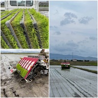 厳選米ドットコム】農場だより(明和つじ農園)～美味しいお米の通販｜全国のお米農家による産直販売サイト