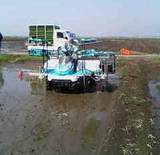 (¥¯¥ê¥Ã¥¯¤·¤Æ³ÈÂçɽ¼¨) ÅÄ¿¢¤¨»Ï¤Þ¤ê¤Þ¤·¤¿¡ª ¿·¼Ö¤Ç¥Ö¥¤¥Ö¥¤¸À¤ï¤»¤Þ¤¹¤è¡ª(»à¸ì)