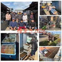 ��ǯ���Ƥμ�ޤ���Ȥ�Ԥ��ޤ�����