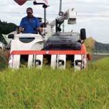 (¥¯¥ê¥Ã¥¯¤·¤Æ³ÈÂçɽ¼¨) 19ǯ»º¿·ÊÆ¡ª¤¢¤¤¿¤³¤Þ¤Á¼ý³Ï³«»Ï¤·¤Þ¤·¤¿¡ª ¥³¥ó¥Ð¥¤¥ó¡¢¥Õ¥ë²ÔƯ¤Ç¤¹