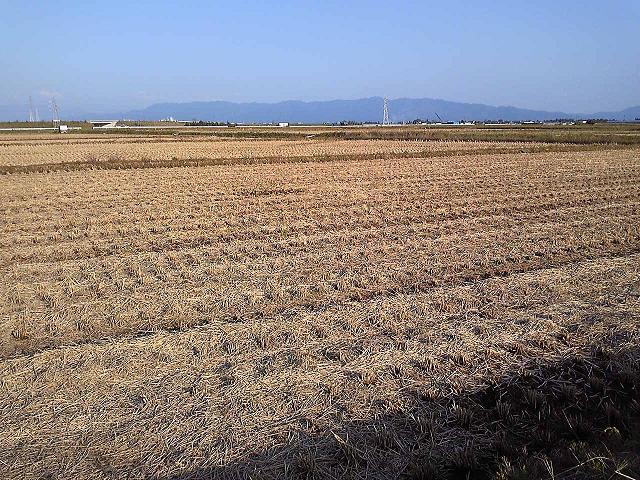 (¥¯¥ê¥Ã¥¯¤·¤Æ³ÈÂçɽ¼¨) º×¤ê¤Î¸å¤Î¡Å¡Å ´¢¼è¤ê¸å¤ÎÅĤó¤ÜÉ÷·Ê