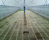 (クリックして拡大表示) 有機栽培コシヒカリの苗 苗だし(7回目) ビニールハウス7棟がいっぱいになりました