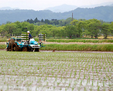 (クリックして拡大表示) 田植えはじめています どんどん田植えを進めます