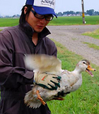 (¥¯¥ê¥Ã¥¯¤·¤Æ³ÈÂçɽ¼¨) ¤µ¤è¤Ê¤é¤µ¤è¤Ê¤é¤µ¤è¤Ê¤é¹ç³û¤µ¤ó ¼ê¤Î¤Ò¤é¥µ¥¤¥º¢ªÌó3¥ö·î¤ÇÂ礤¯°é¤Á¤Þ¤·¤¿