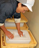 (クリックして拡大表示) 漬け物の仕込み開始 20kgの重石を乗せて待つこと2ヶ月