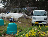 (クリックして拡大表示) ぼろぼろでも大切なビニールハウス 畑の片隅にビニールハウスを建てました
