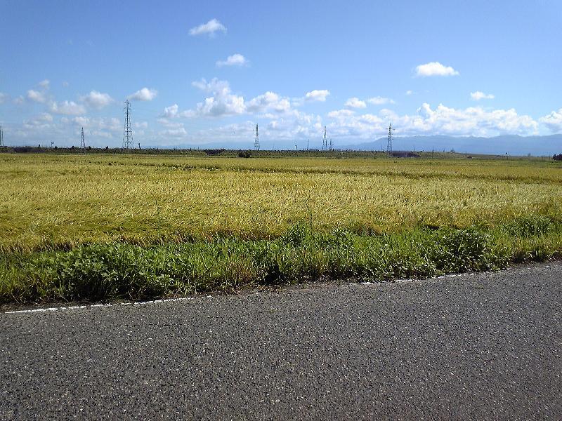 (¥¯¥ê¥Ã¥¯¤·¤Æ³ÈÂçɽ¼¨) Ê̤ʤȤ³¤í¤Ç°ð´¢¤ê¤·¤Æ¤¤¤Þ¤¹¡¦¡¦¡¦¡£ ´¢¼è¤êľÁ°¤ÎÅĤó¤ÜÉ÷·Ê