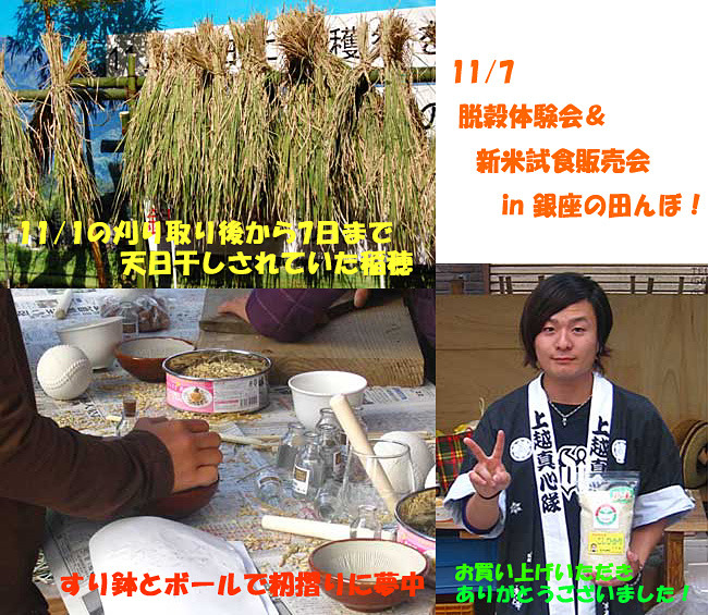 (クリックして拡大表示) 11/7 脱穀体験会&新米試食販売会 in 銀座の田んぼ! 11/7 脱穀体験会&新米試食販売会 in 銀座の田んぼ!