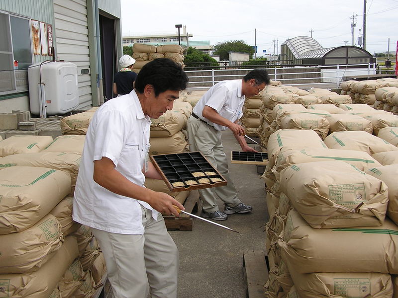 (クリックして拡大表示) 21年産 夢ごこち 発売開始 21年産米の検査