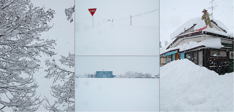 (クリックして拡大表示) 降雪の影響による配達遅延のお知らせ 深々と雪が降り積もっています