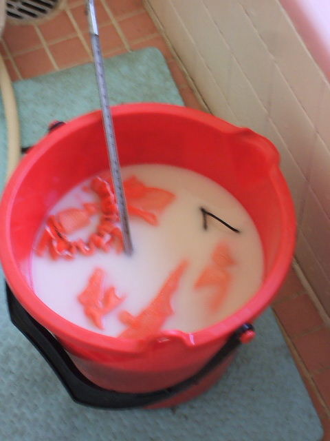 (クリックして拡大表示) パン酵母で゛種籾の殺菌をしてみました。 テスト殺菌しているところ